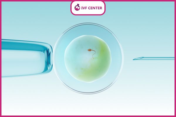 Tiêu chí đánh giá chất lượng phôi trong IVF