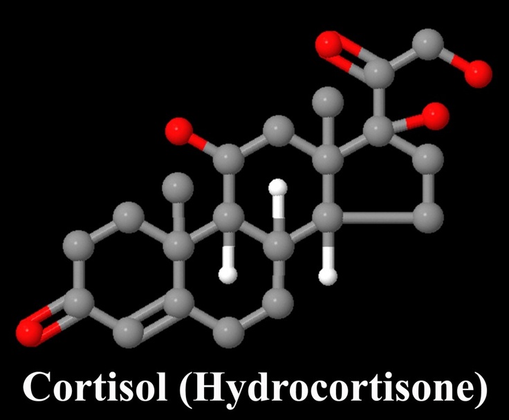 Cortisol